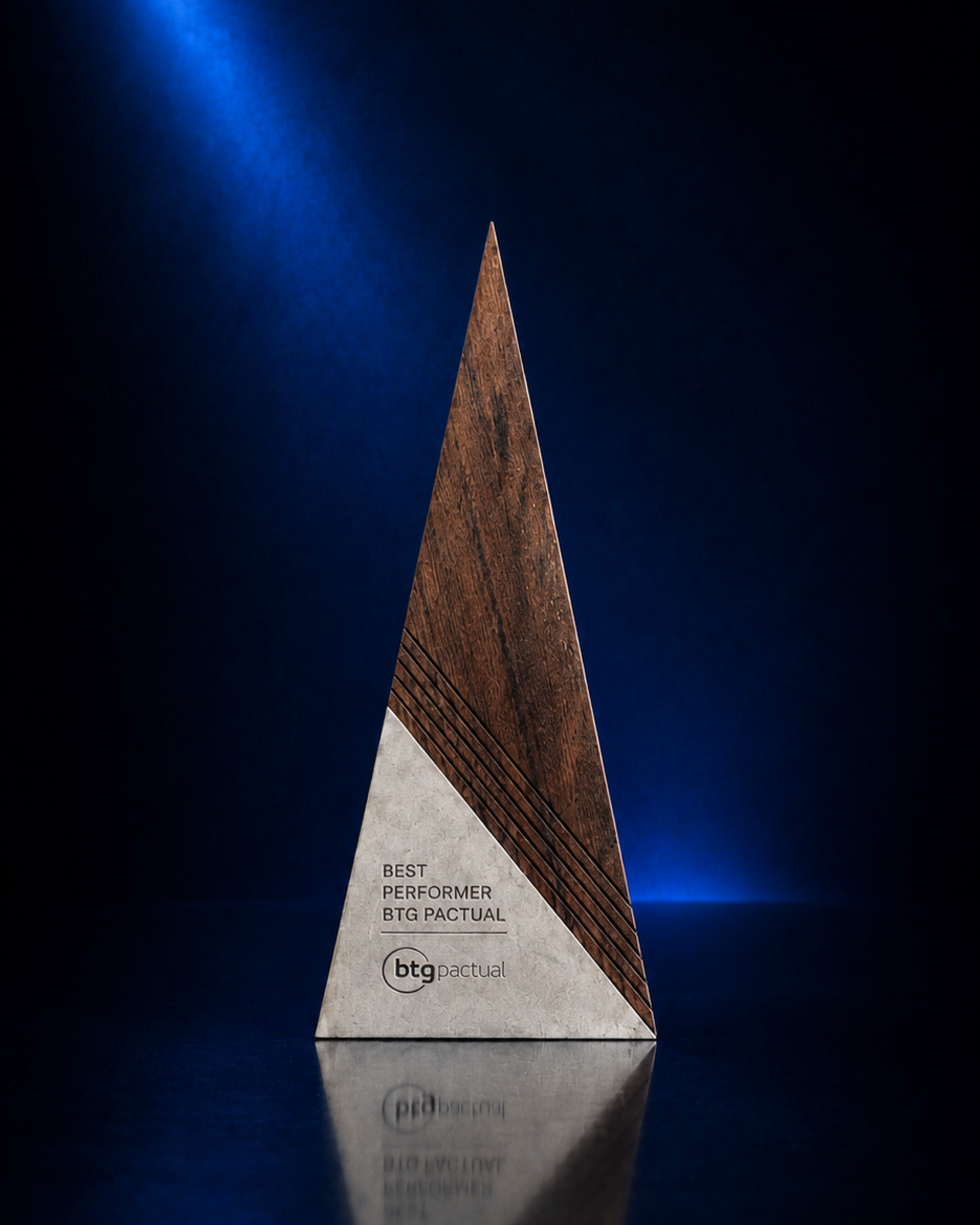 Prêmio Best Performer BTG Pactual Brasil